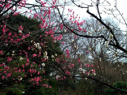 P2181456.JPG