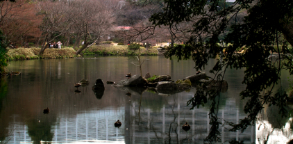 P2181463.JPG