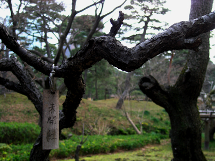 P2181462.JPG