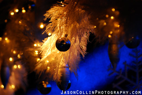 http://www.jasoncollin.org/wp-content/uploads/2008/12-dec/tokyo-christmas-lights-close-up-2008-495x.jpg